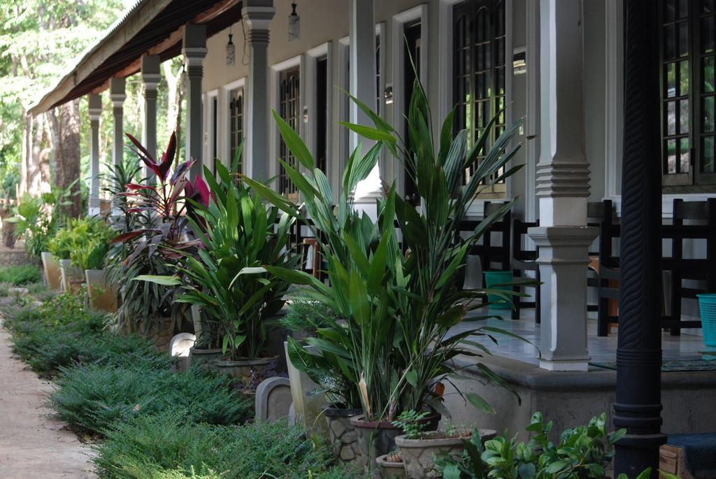 A4 Villa & Spa. Habarana Exterior photo