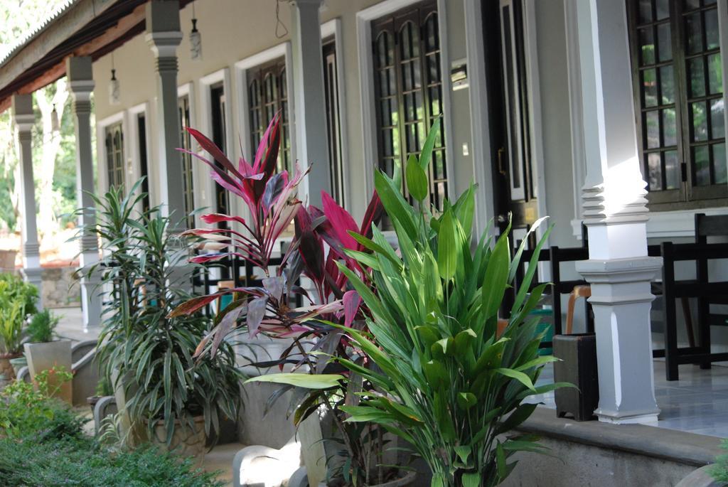 A4 Villa & Spa. Habarana Room photo